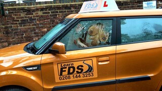 Young Black Girl's First Car Sex Lesson with Ryan Ryder - наслаждайтесь лучшим порно на HD-PORN.ONLINE