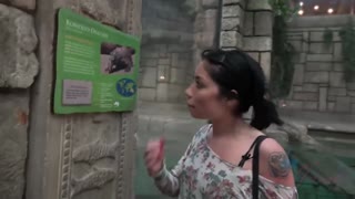 Rina Ellis Fucks You in Vegas - Hot Brunette GF POV - наслаждайтесь лучшим порно на HD-PORN.ONLINE