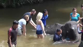 Hot blonde Elsa Jean gets creampied after long day - наслаждайтесь лучшим порно на HD-PORN.ONLINE