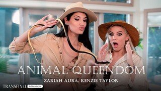  Latina Queens Wild Ride  - наслаждайтесь лучшим порно на HD-PORN.ONLINE