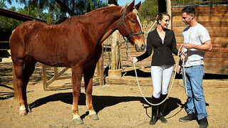 Milf Brett Rossi Fucks Sons Buddy - смотреть новое порно видео HD-PORN.ONLINE